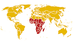 アフリカ地域