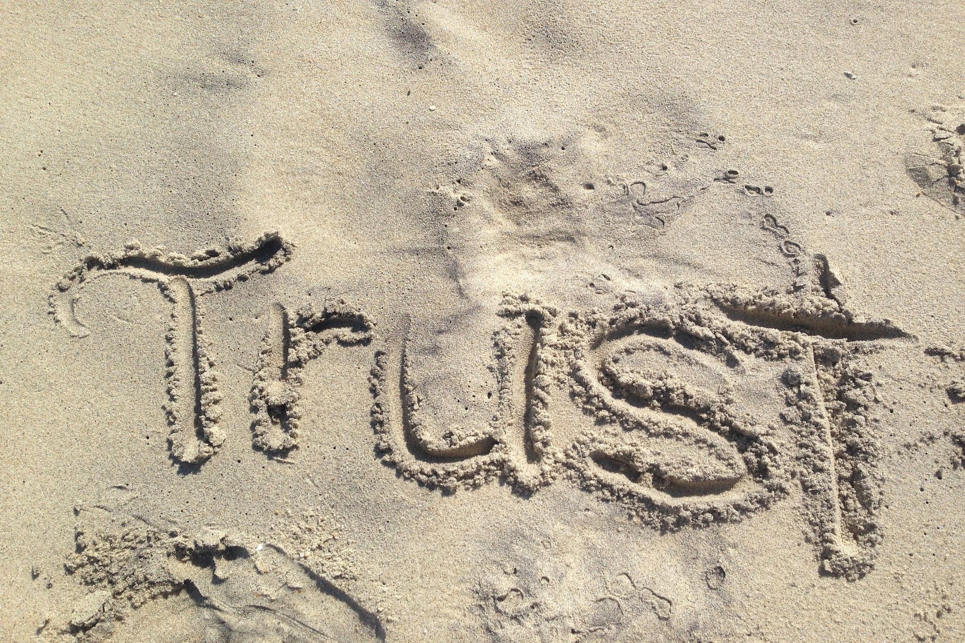 信託業（Trust） - ビジネスモデル体系